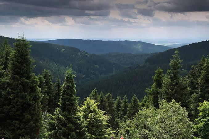 The Nature Dreams I Vacations I Conference I Mice I Family Events I Open Air Terrace I Sky Bonfire I Kufri By Exotic Stays Шимла Экстерьер фото