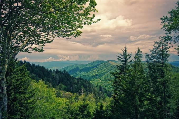 The Nature Dreams I Vacations I Conference I Mice I Family Events I Open Air Terrace I Sky Bonfire I Kufri By Exotic Stays Шимла Экстерьер фото